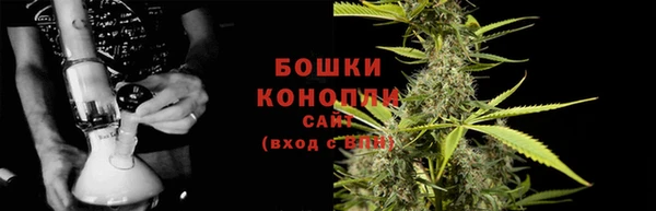 гидра Пересвет