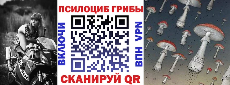 что такое наркотик  Нерехта  Галлюциногенные грибы Magic Shrooms 